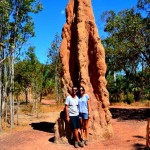 Termites - Litchfield NP