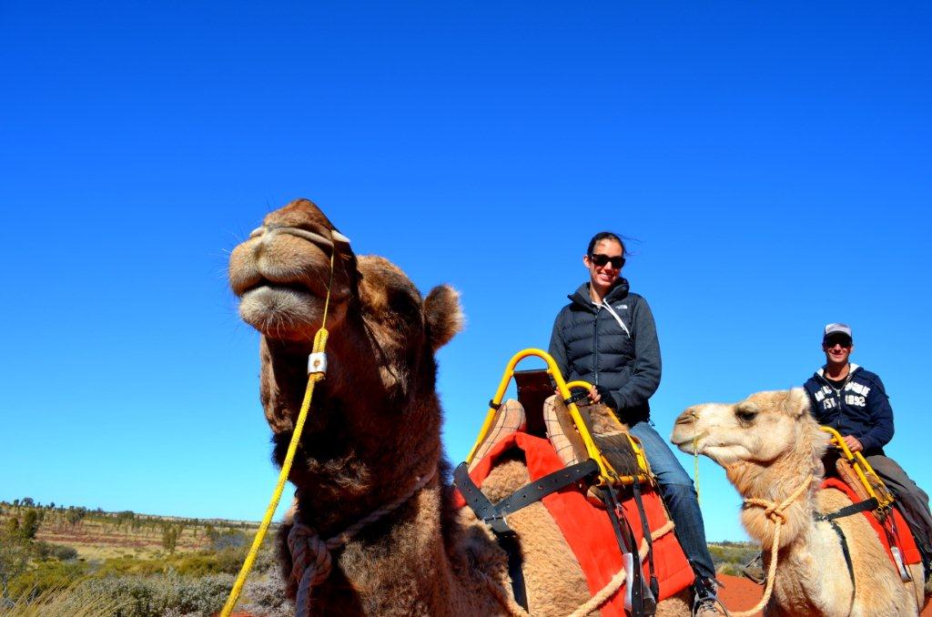 Uluru camel ride