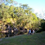 Charlie Moreland camping area - Little Yabba Creek