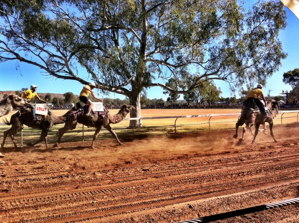 The Camel Cup - Alice Springs
