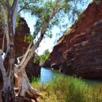 Hamersley Gorge, The Pilbara
