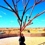 Coober Pedy - The Big Winch's metal tree thing