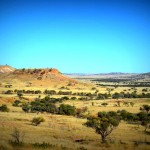 Outback Scenery