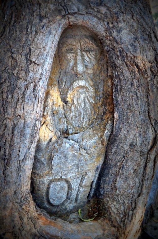 Burke's portrait engraved tree