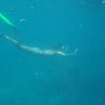 Whitsunday snorkelling